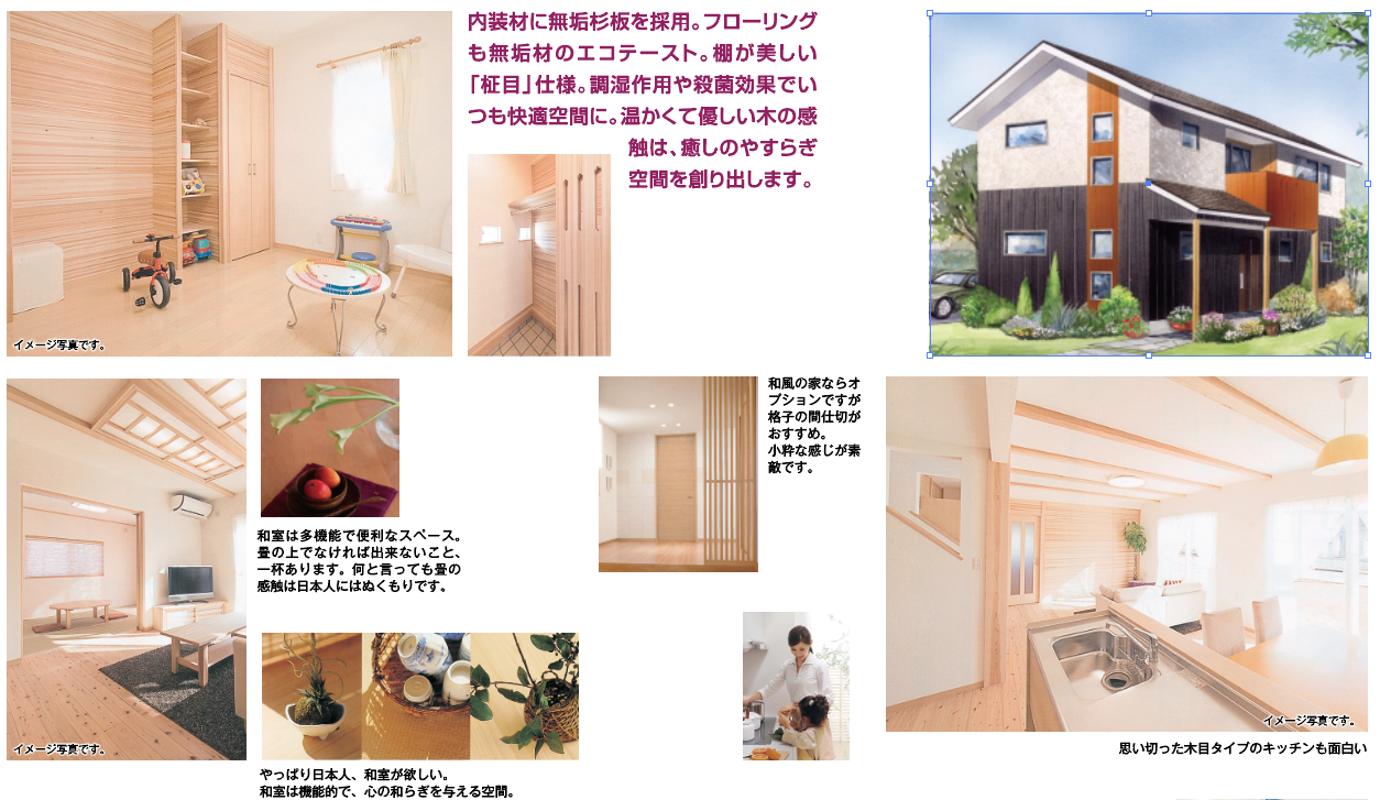 アーヘン和風 -EXw（W耐震ゼロエネ長期優良対応セミオーダー住宅）