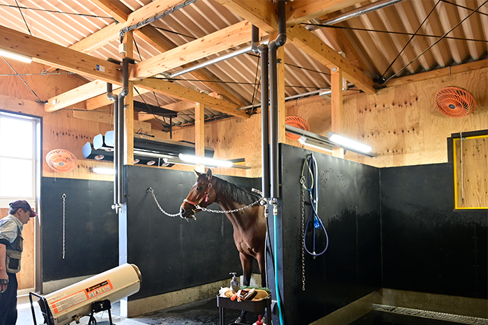 ホースブリッジ（新厩舎）