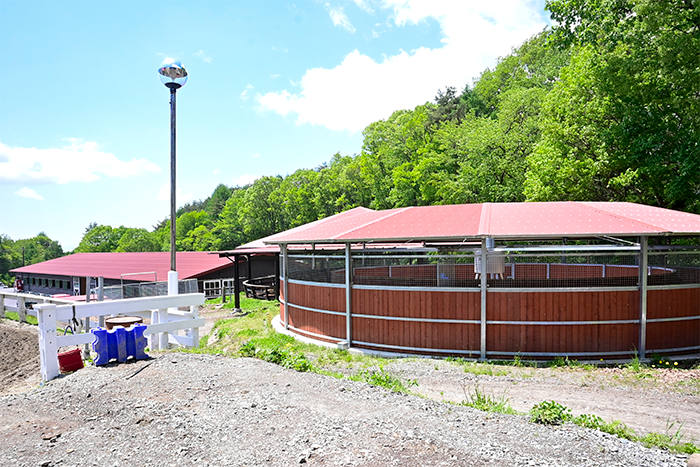 ホースブリッジ