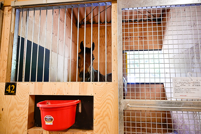 ホースブリッジ（新厩舎）